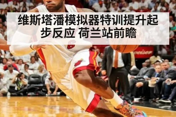维斯塔潘模拟器特训提升起步反应 荷兰站前瞻