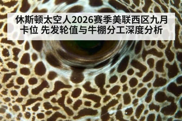 休斯顿太空人2026赛季美联西区九月卡位 先发轮值与牛棚分工深度分析